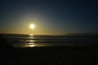 DSC_7288 (Large).JPG